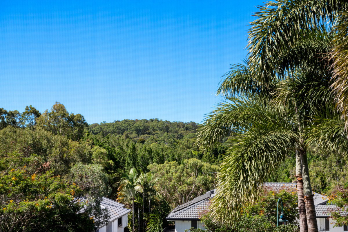 FJD_6936_af9f-03b5-b2cd-cbb1-24dd-42bb-a1f8-1aea_20260209032649